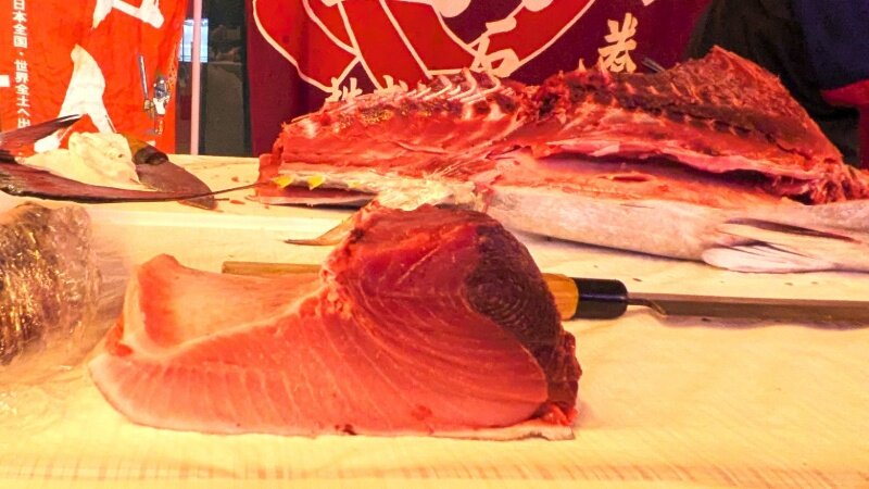 maguro04.jpg