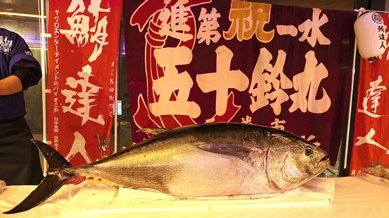 利用事例|新年会─大迫力のマグロ解体ショー 施設内観イメージ