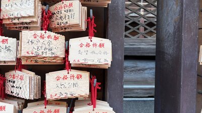 IMG_1857.jpg